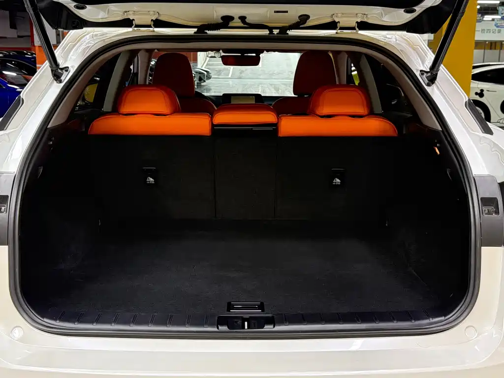 Lexus RX — миниатюра 26