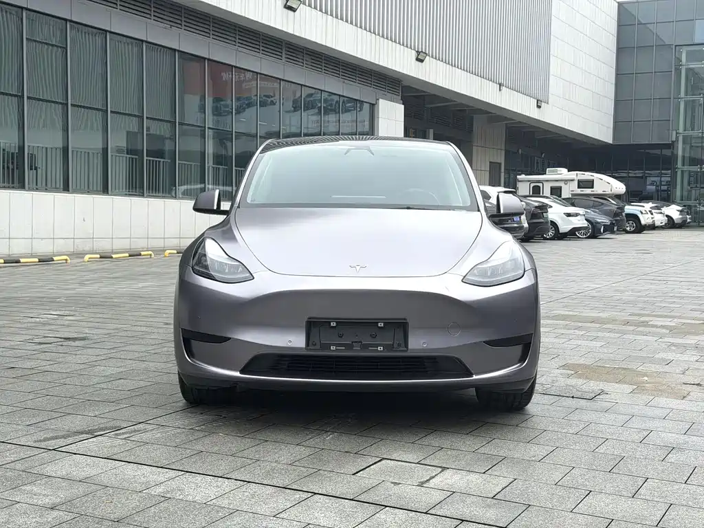 Tesla Model Y — миниатюра 2