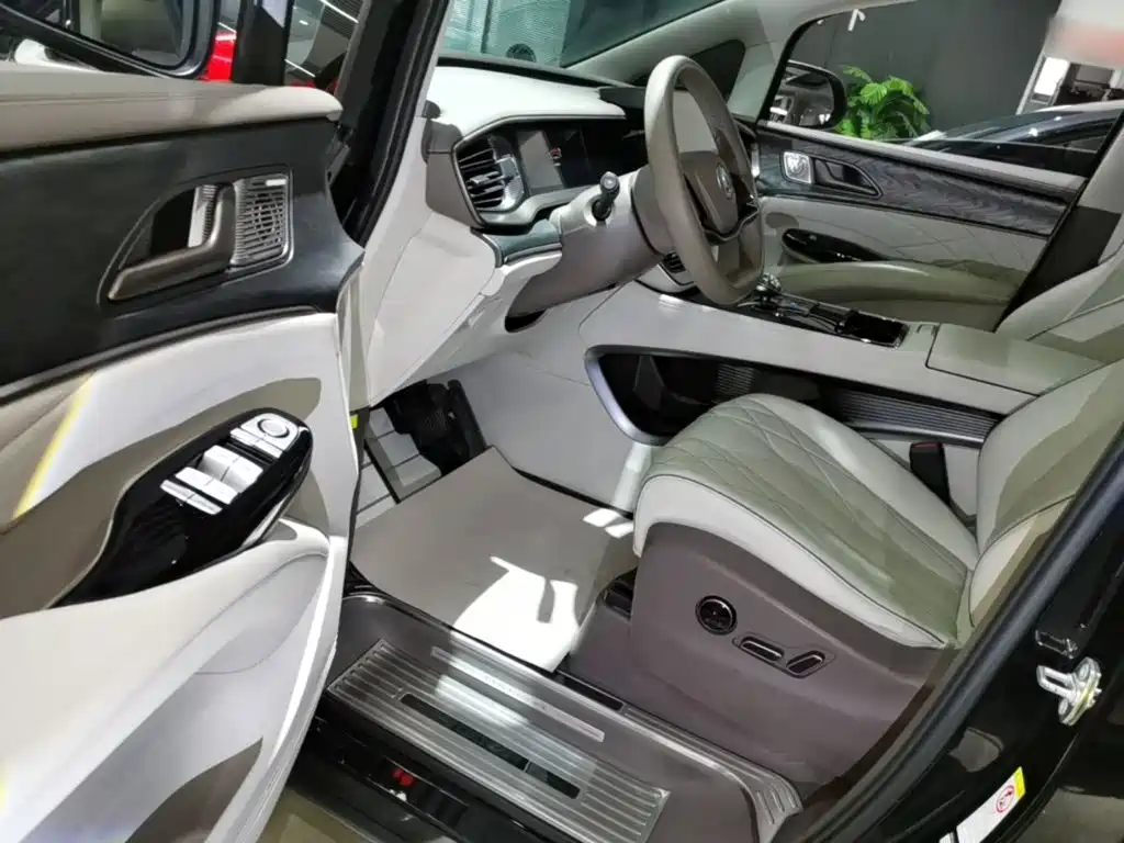 Denza Denza D9 — миниатюра 16