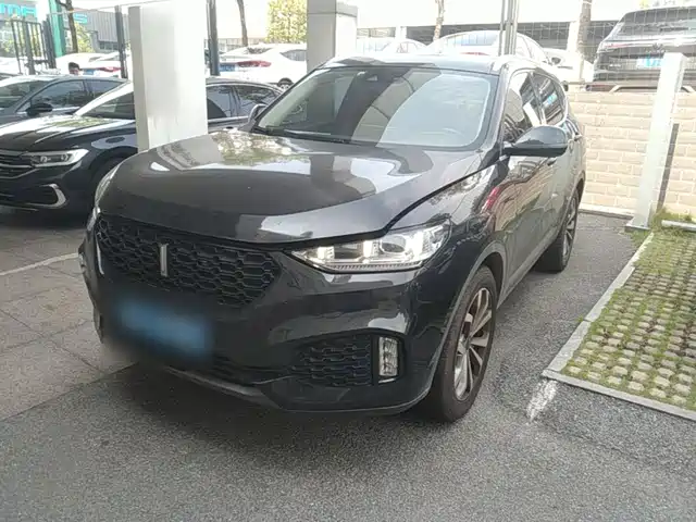 2019 Wey VV6