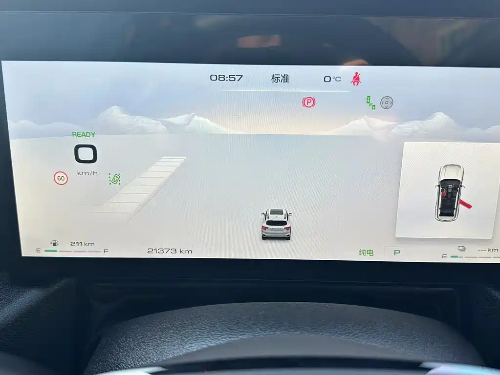 WEI PAI WEI BRAND BLUE MOUNTAIN