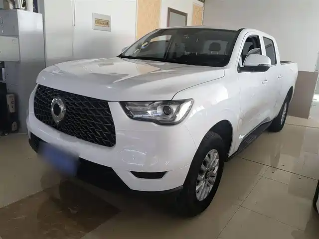 GREAT WALL CANNON 2020