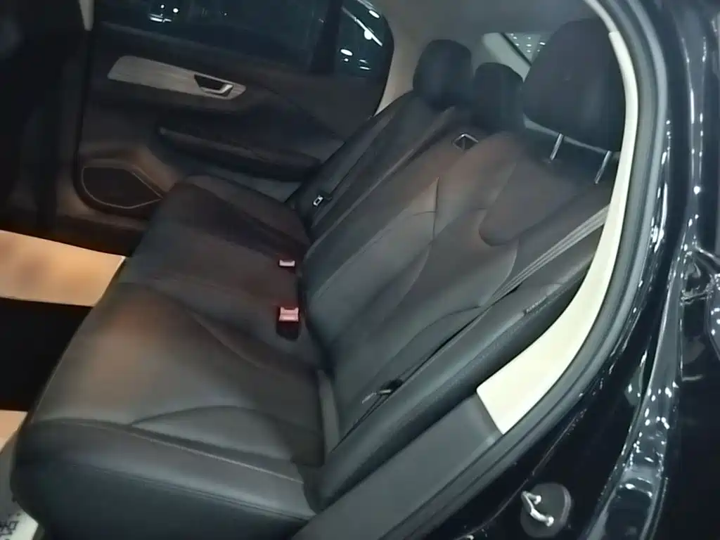 Hongqi Hongqi E-QM5 — миниатюра 17