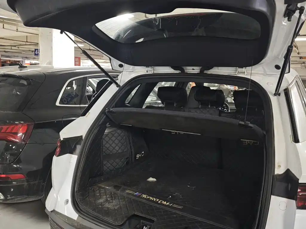 BYD SONGJIANG NEW ENERGY