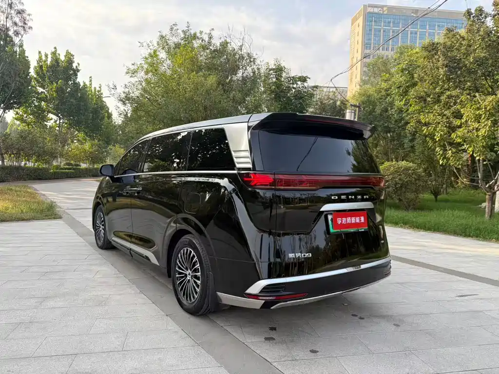 Denza Denza D9 — миниатюра 6