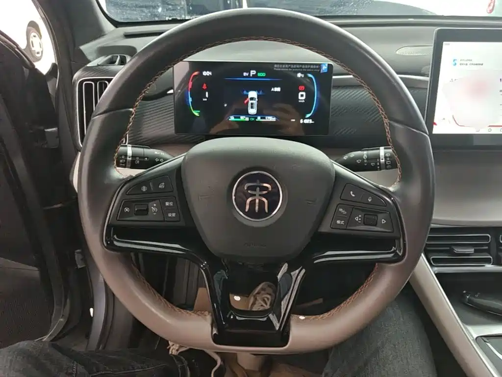 BYD Pro New Energy — миниатюра 11