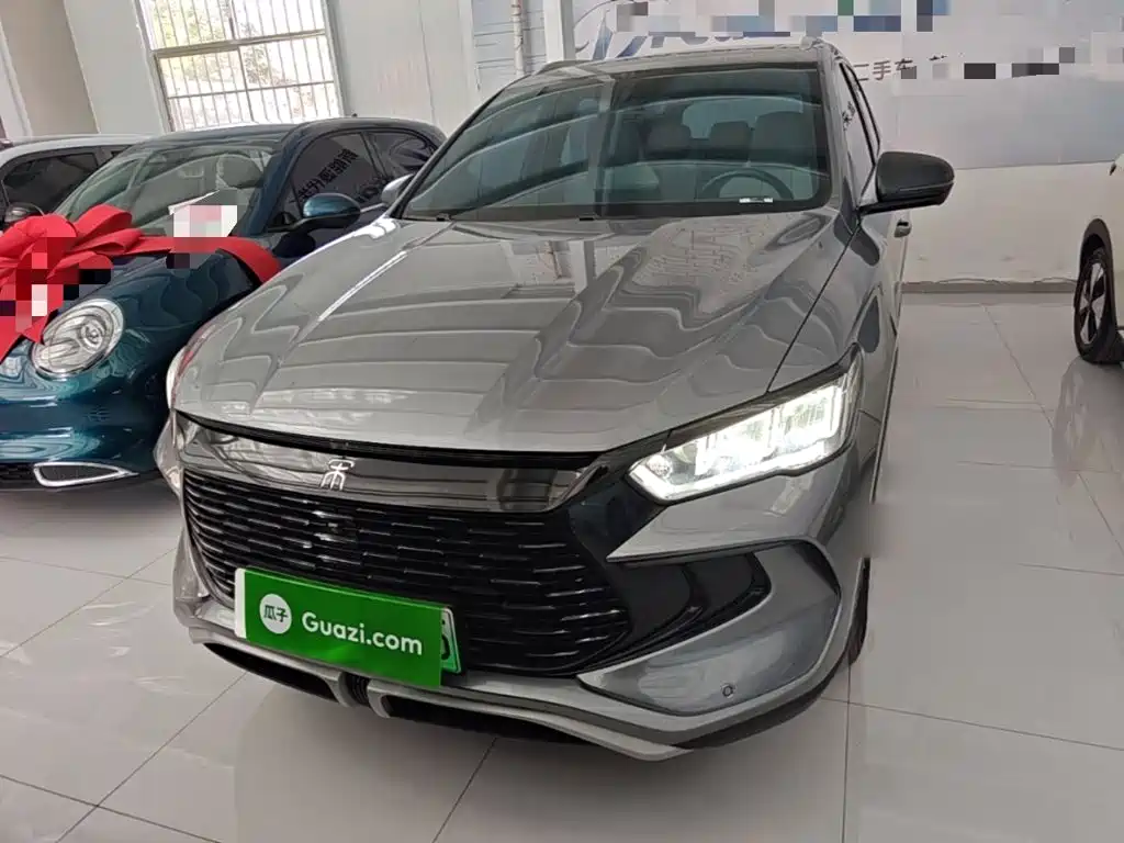 BYD Pro New Energy — миниатюра 3