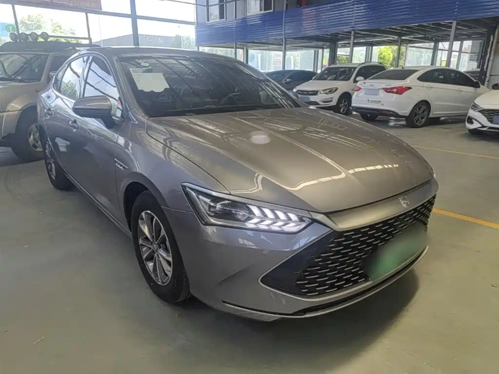 BYD Qin Plus PLUS 2024 DM-i 55KM Lead