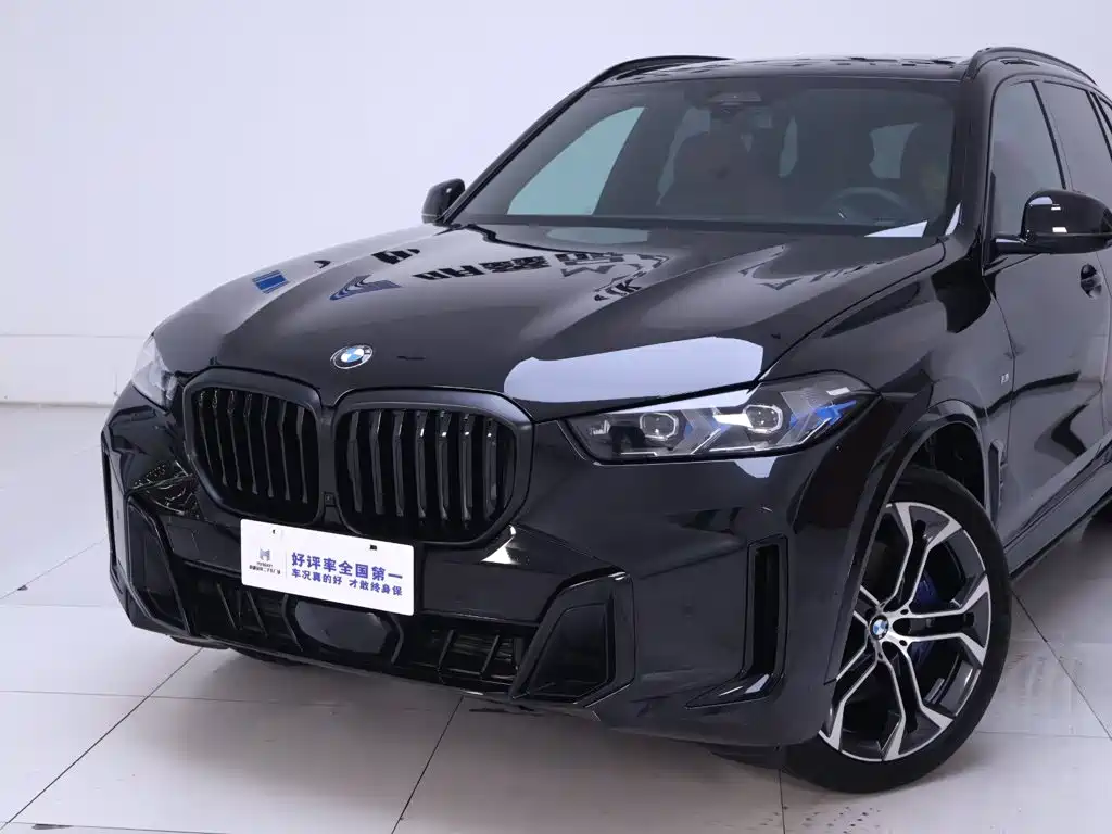 BMW X5 — миниатюра 3