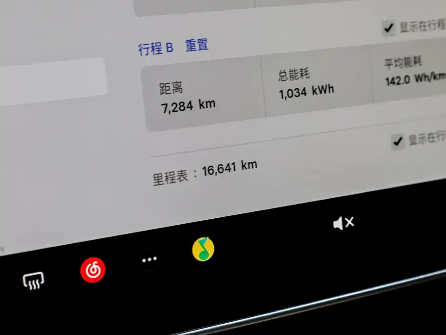 Tesla Model Y — миниатюра 17