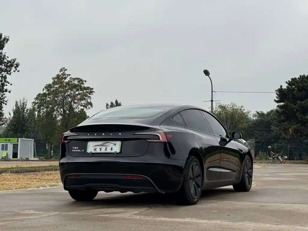 Tesla Model 3 — миниатюра 6