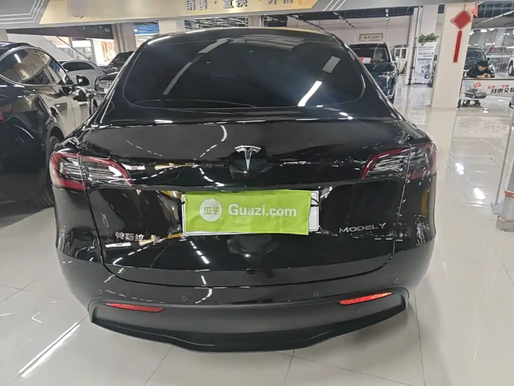 Tesla Model Y — миниатюра 6