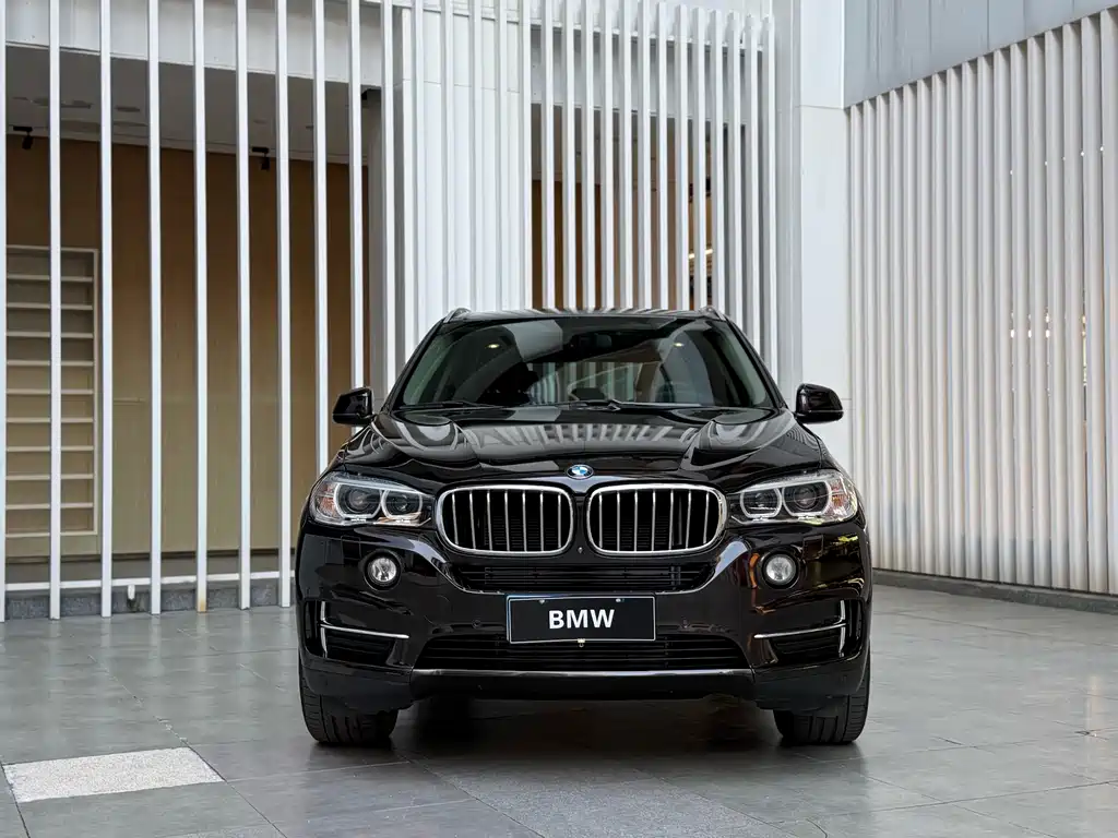 BMW X5 (Import) — миниатюра 2