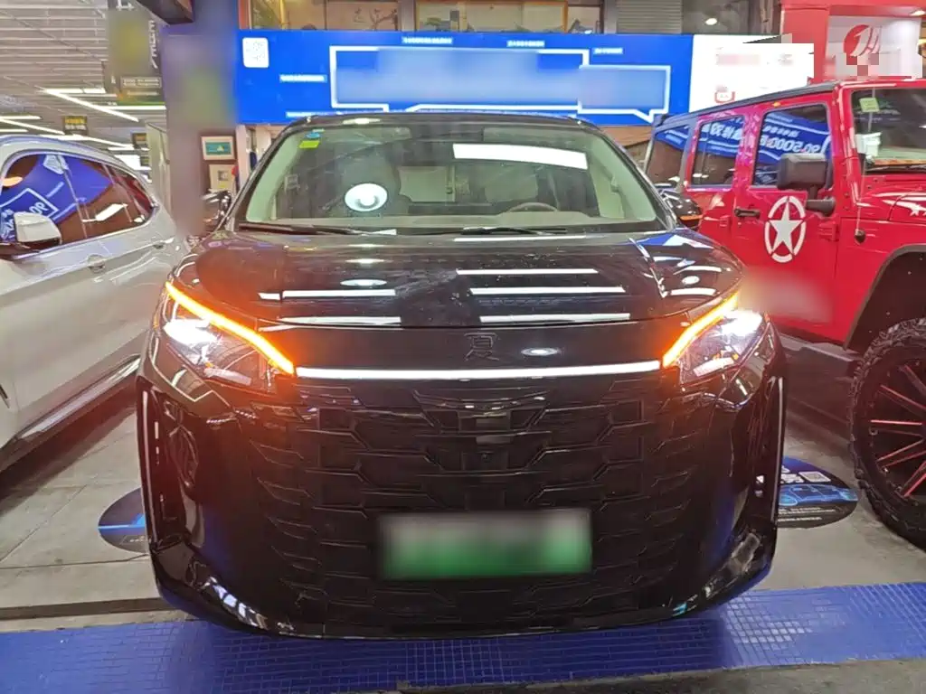 BYD Xia — миниатюра 3