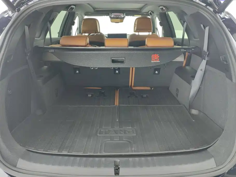 BYD Tang New Energy — миниатюра 4