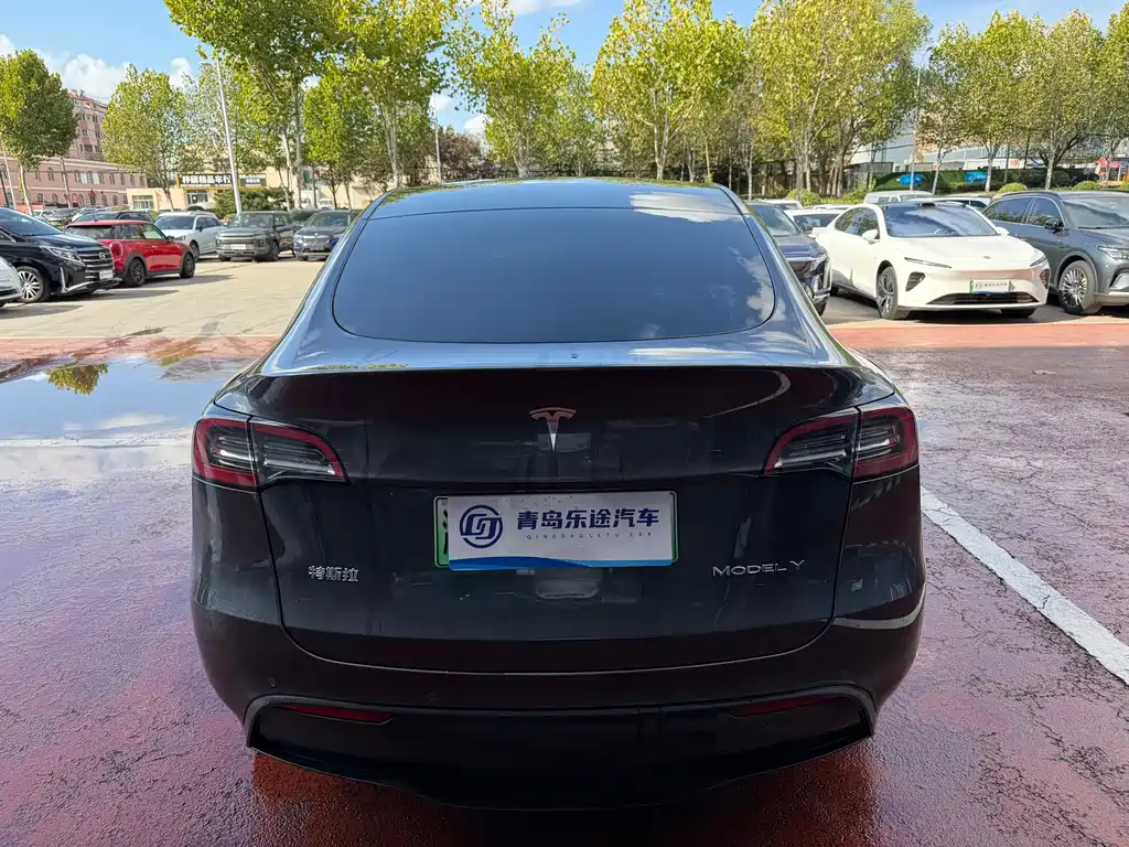 Tesla Model Y — миниатюра 5