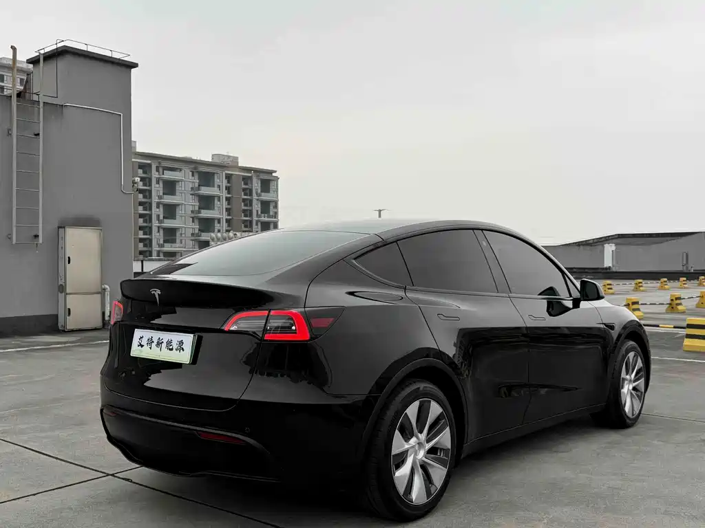 Tesla Model Y — миниатюра 4