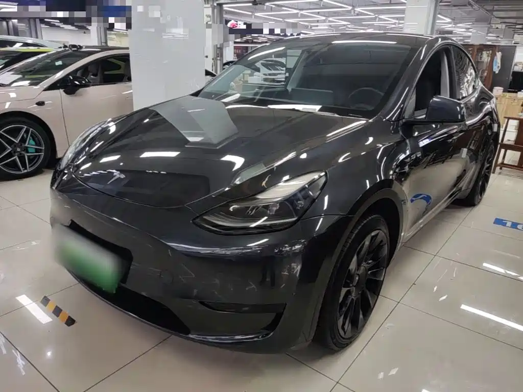 Tesla Model Y — миниатюра 2
