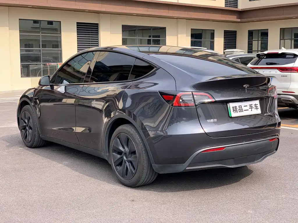 Tesla Model Y — миниатюра 4