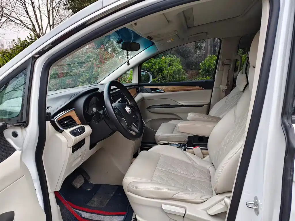 Buick GL8 2018 ES 28T Comfort VI
