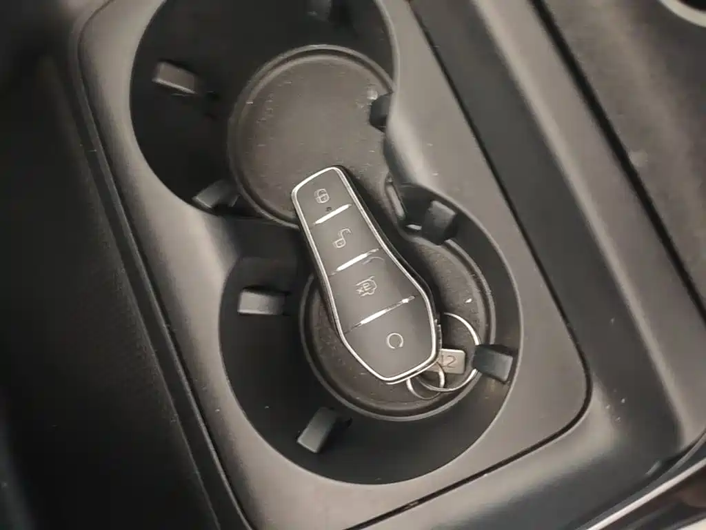 BYD Qin Plus PLUS 2023 Champion DM-i 55KM Lead