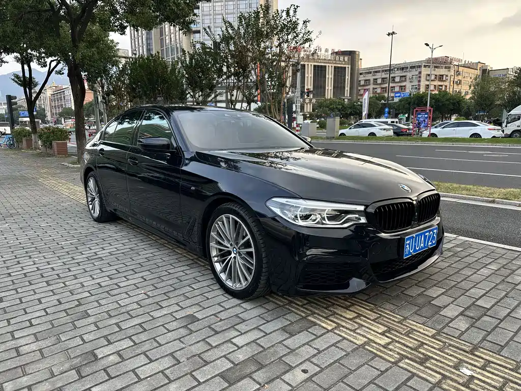 BMW 5 Series (Import) — миниатюра 3