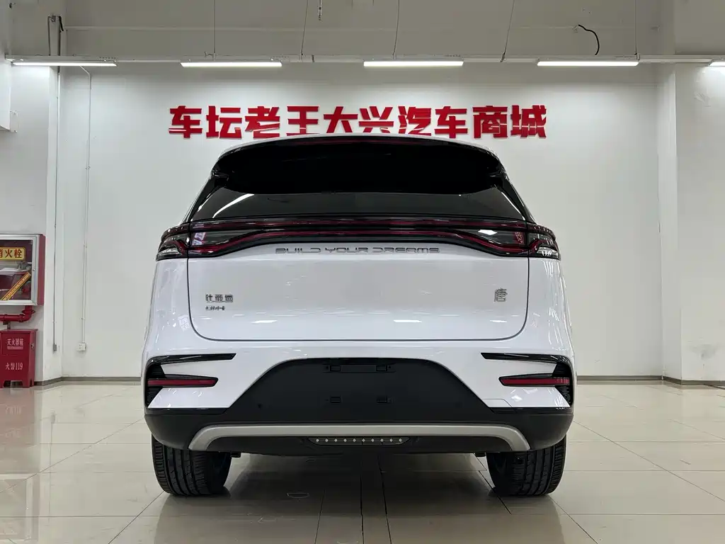 BYD Tang New Energy — миниатюра 8