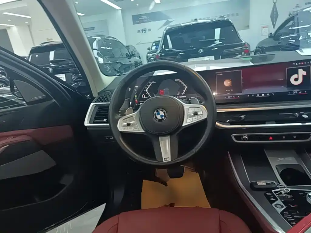 BMW X5 — миниатюра 11