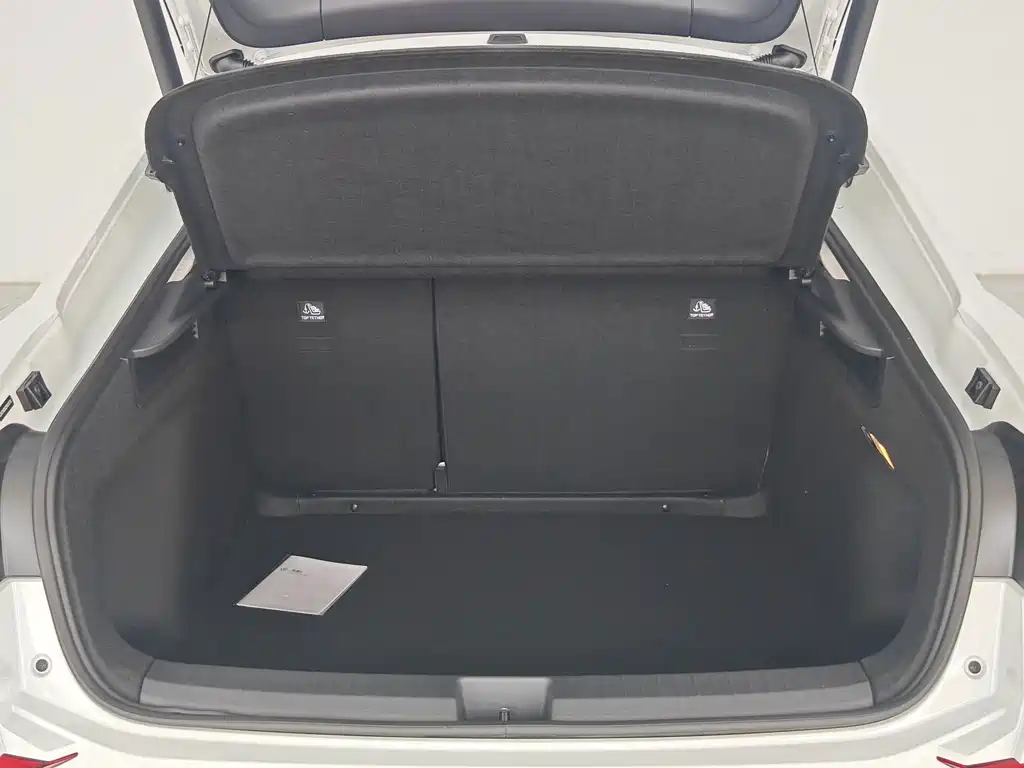 Volkswagen Lamando — миниатюра 18