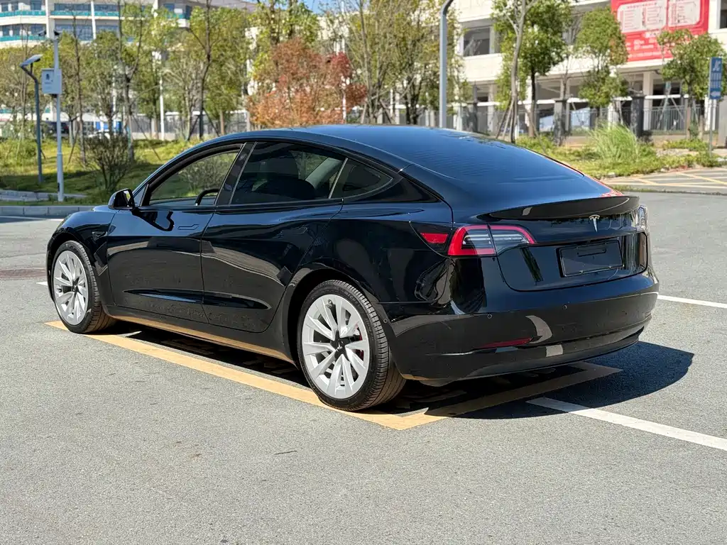 Tesla Model 3 — миниатюра 20