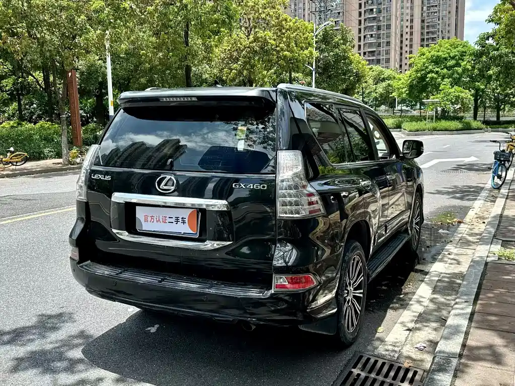 Lexus GX 2010 460