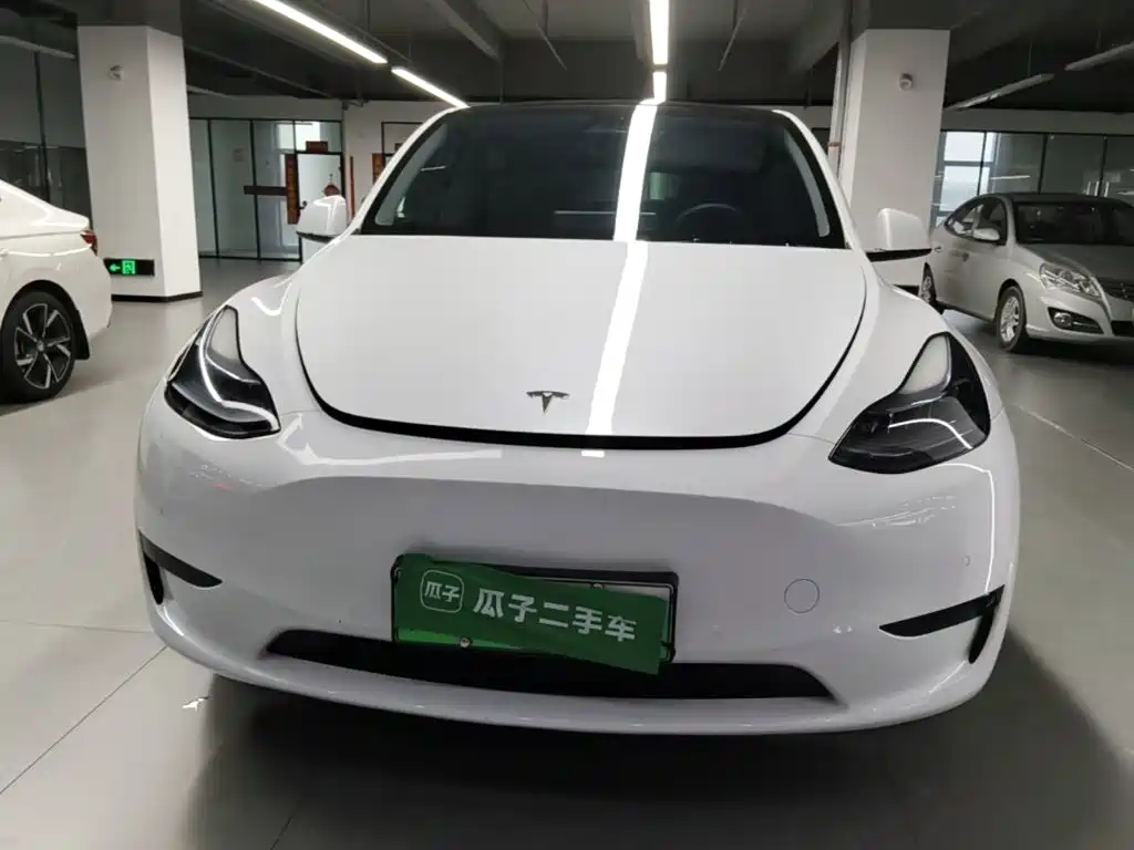 Tesla Model Y — миниатюра 3