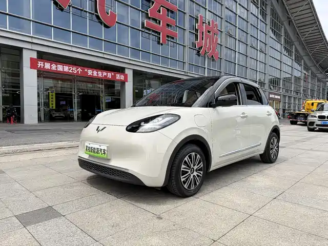 2024 Wuling Motors Binguo
