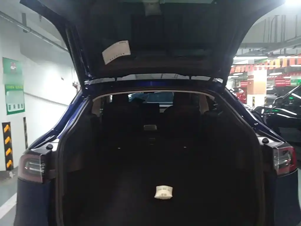 Tesla Model Y — миниатюра 19