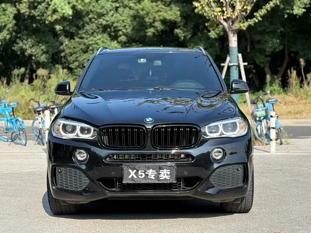 BMW X5 (Import) — миниатюра 2