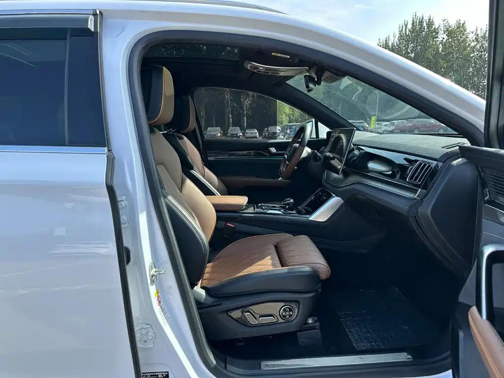 BYD Tang New Energy — миниатюра 19