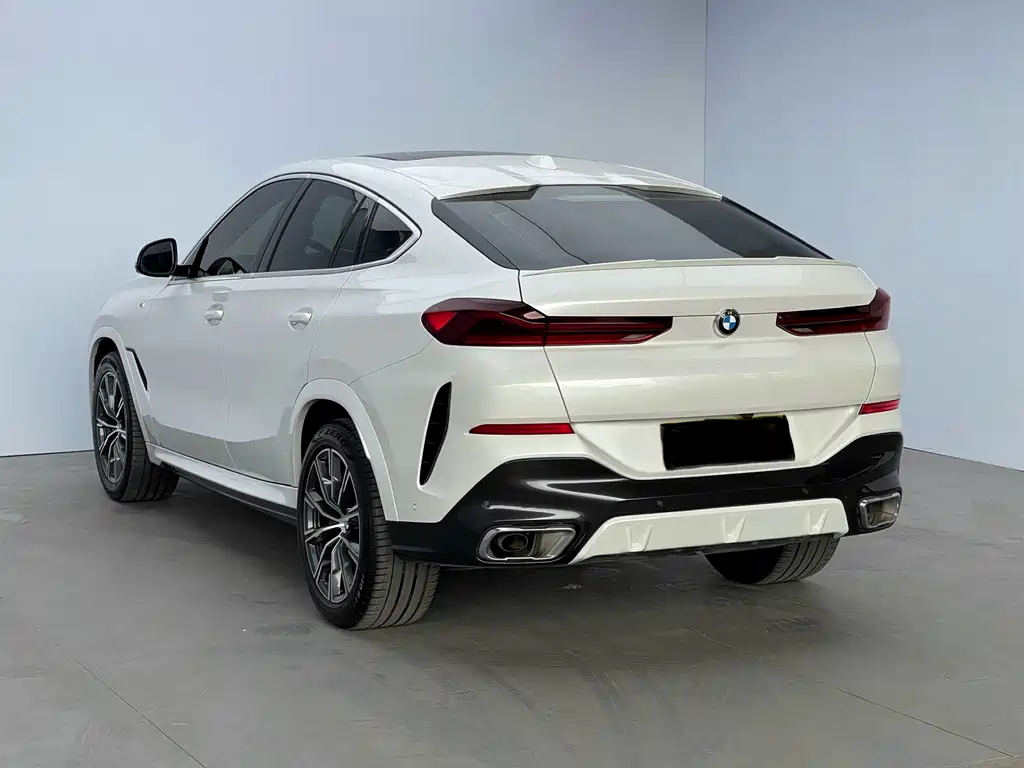 BMW X6 2023 xDrive30i M Sport