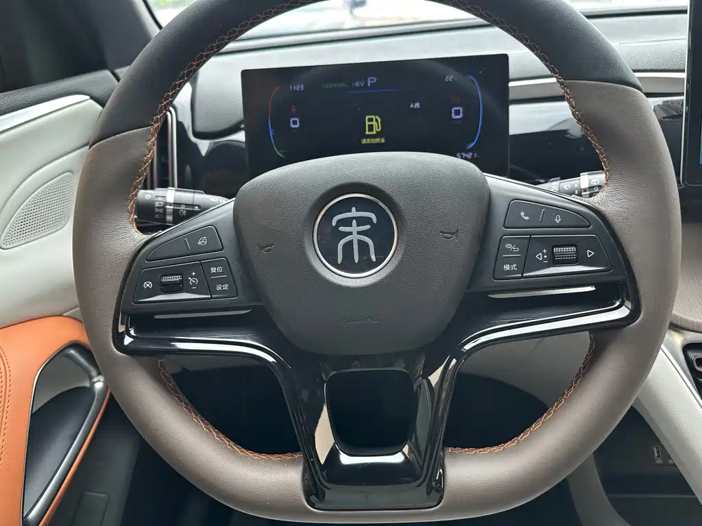 BYD Pro New Energy — миниатюра 18