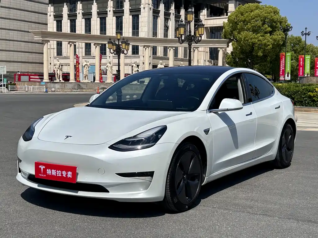 Tesla Model 3 2019