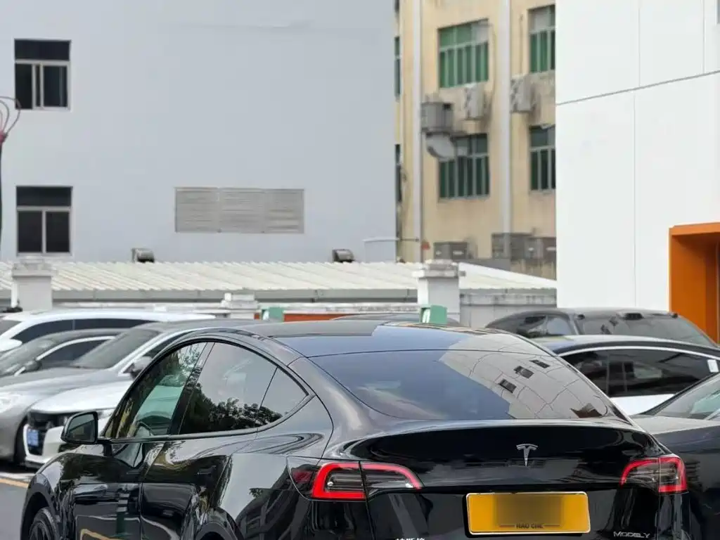 Tesla Model Y — миниатюра 5