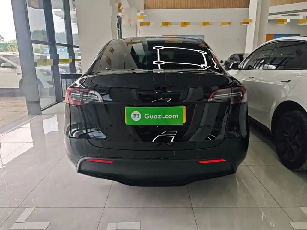Tesla Model Y — миниатюра 6