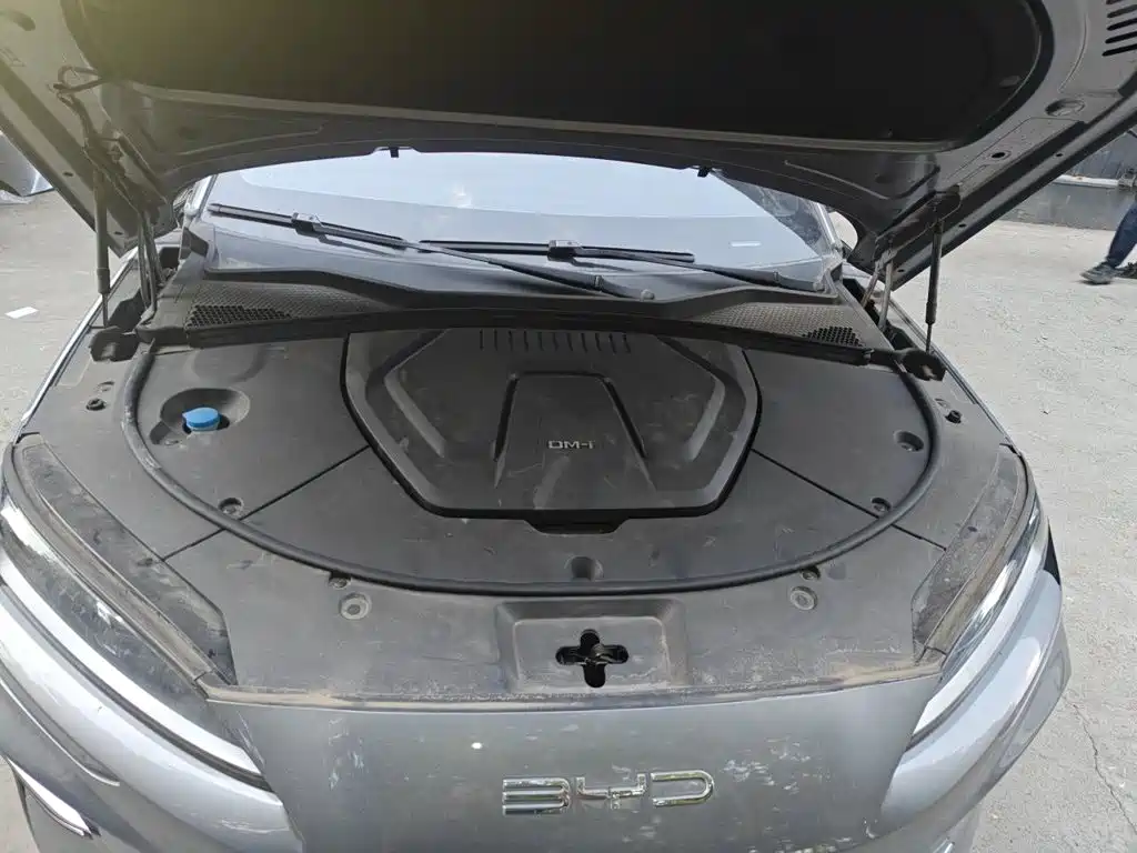 BYD PLUS New Energy — миниатюра 16