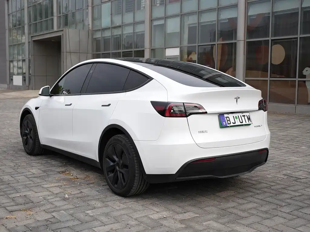 Tesla Model Y — миниатюра 7