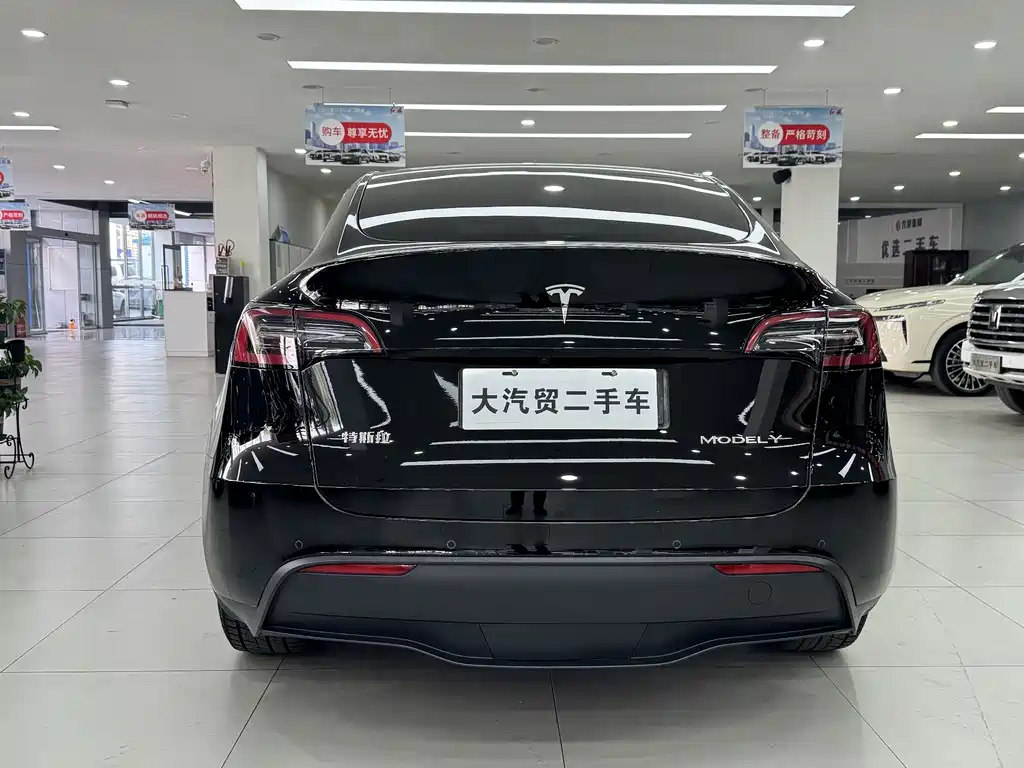 Tesla Model Y — миниатюра 4