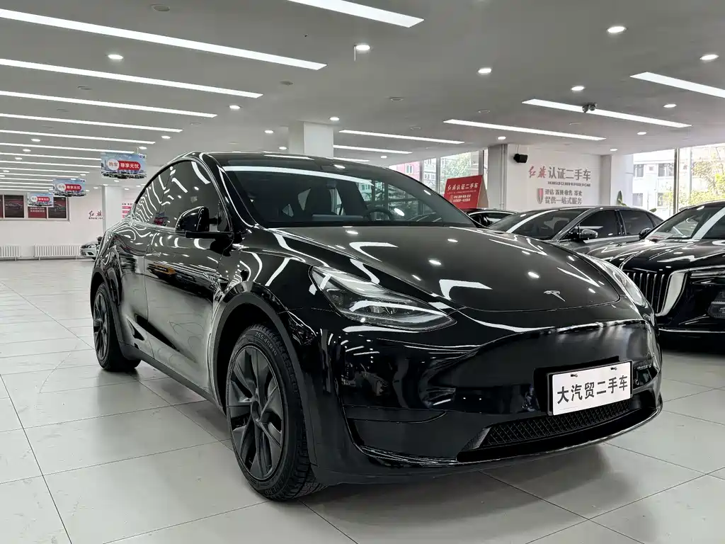 Tesla Model Y — миниатюра 3