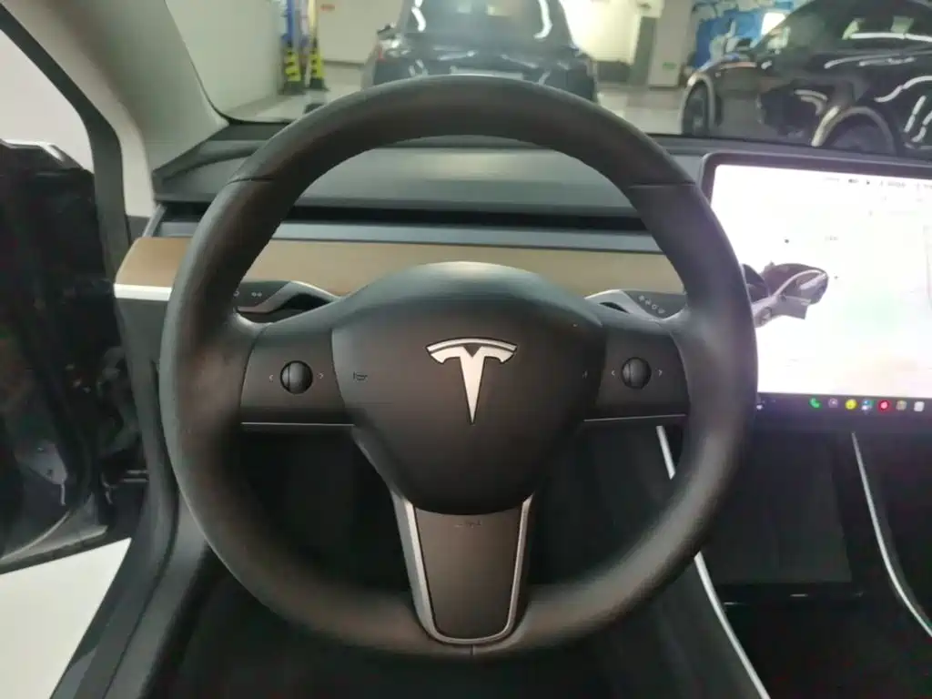 Tesla Model 3 — миниатюра 11