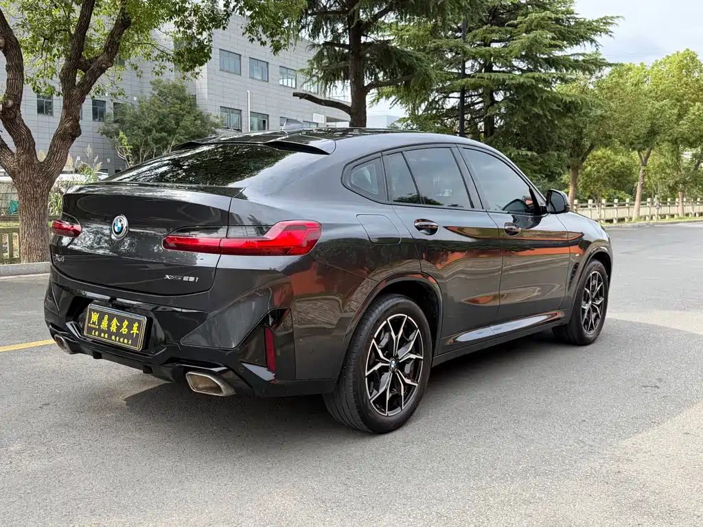 BMW X4 — миниатюра 10