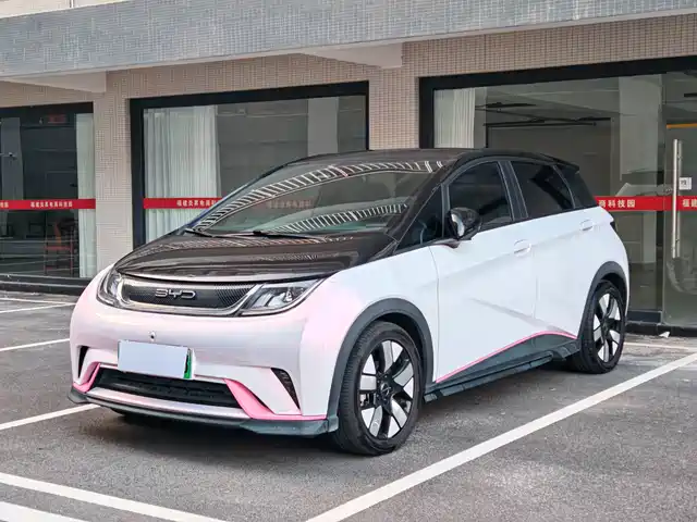 BYD Dolphin