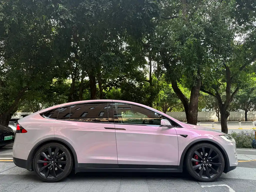 Tesla Model X — миниатюра 2