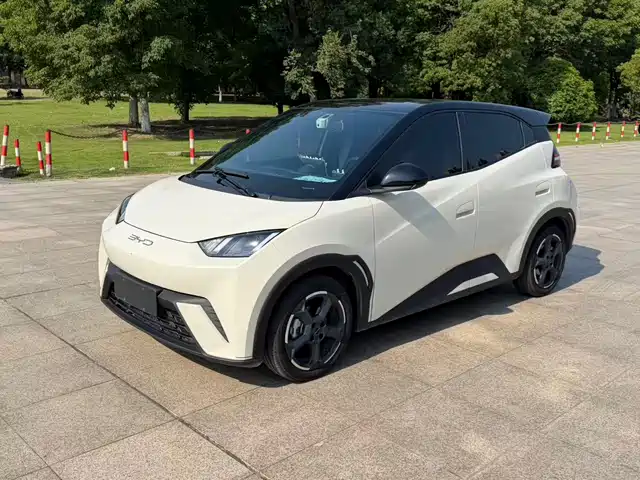 2024 BYD Seagull